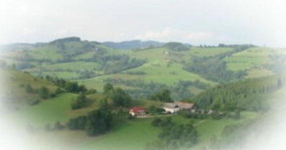 Gasthof Koglerhof Ternberg Екстериор снимка